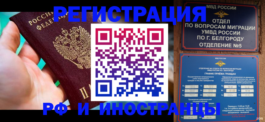 форма 3 в Кингисеппе